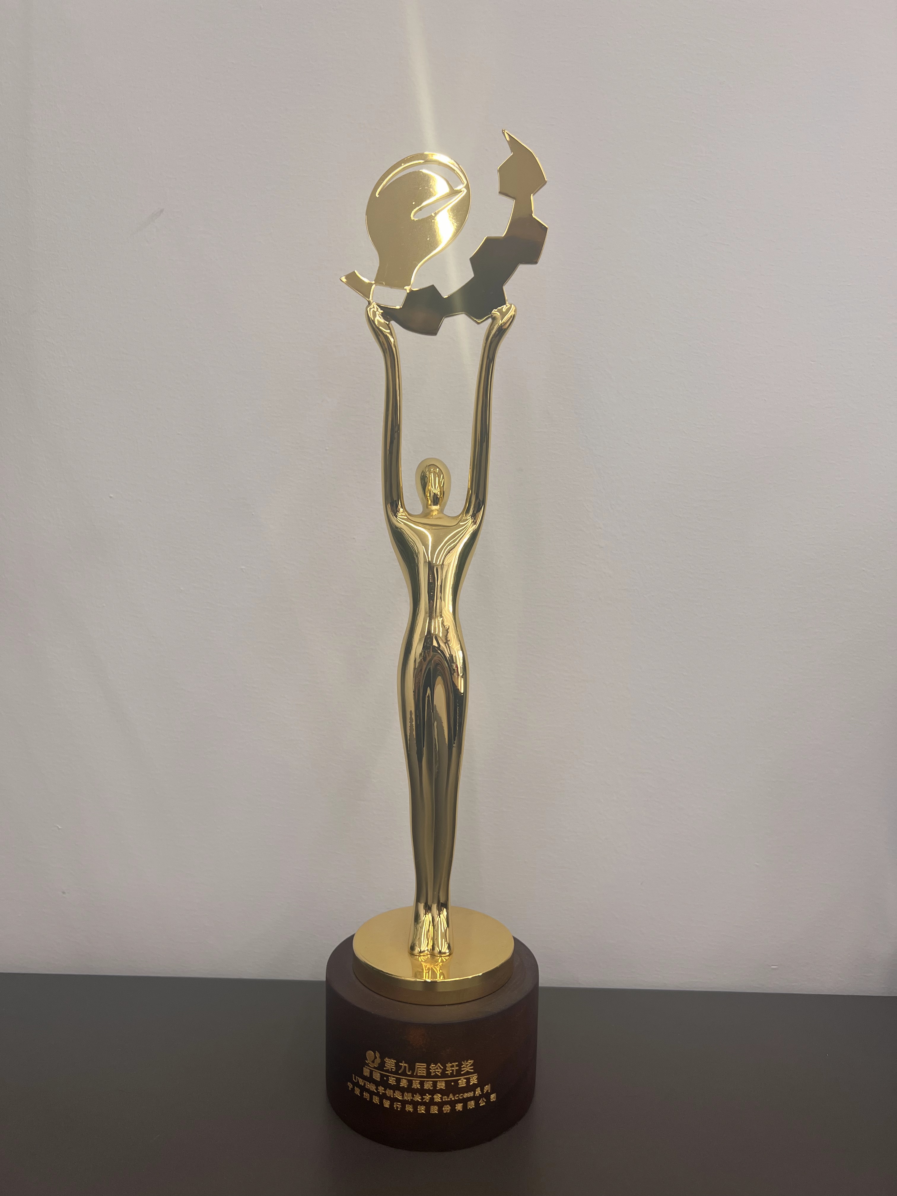 2024 Lingxuan Awards - Gold Award for Body Systems